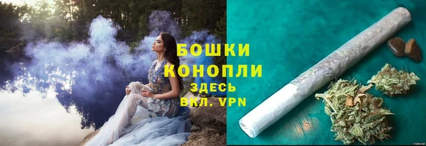 крисы Каменка