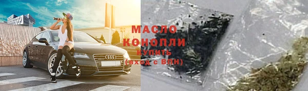 крисы Каменка