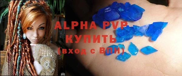 крисы Каменка