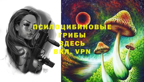 винт Каменногорск