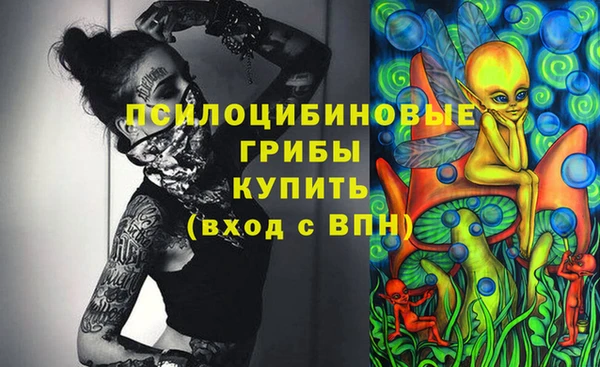мдпв Каменск-Шахтинский